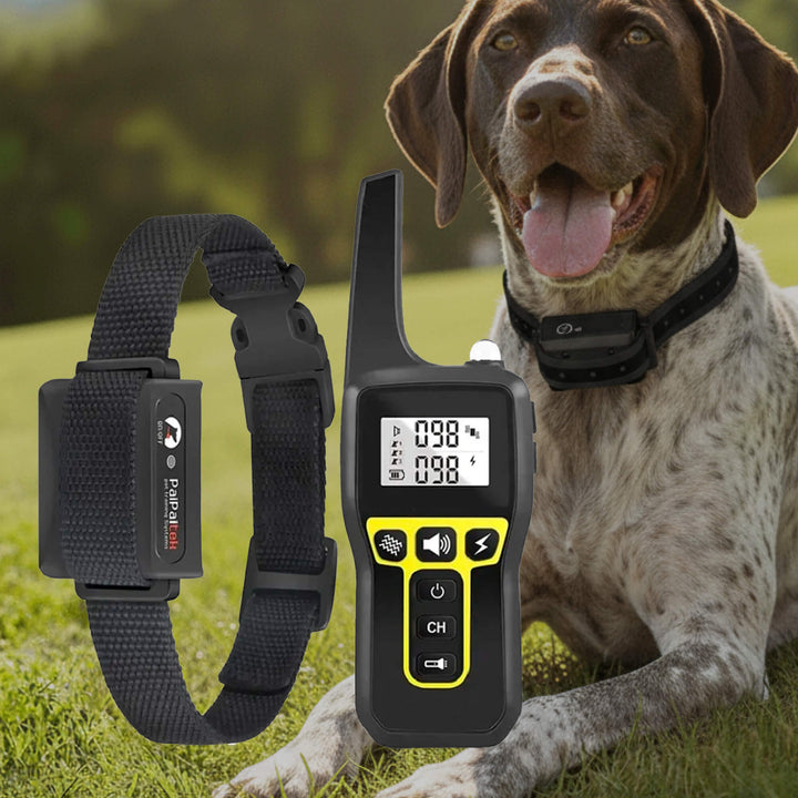 BowLift | 1000m Waterproof Dog Training Collar | Rechargeable, Remote Control & Adjustable for Small, Medium, and Large Dogs