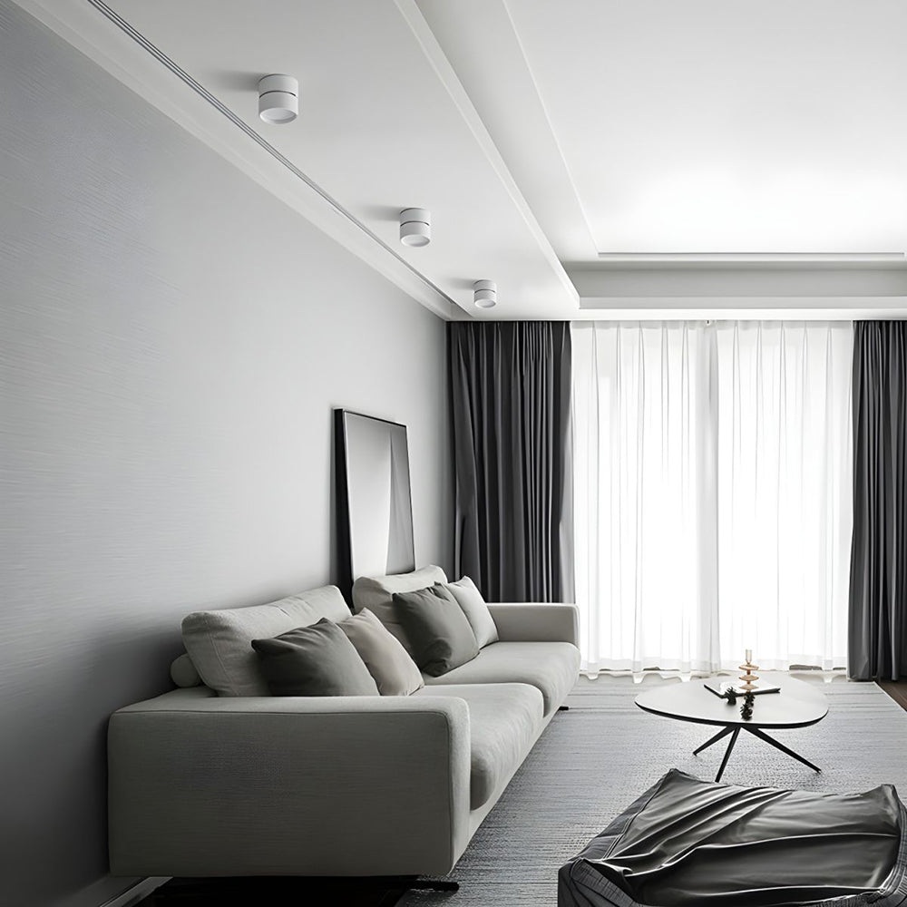 BowLift | LED Ceiling Light with Adjustable Spotlight Head