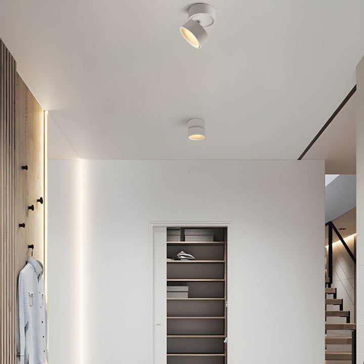BowLift | LED Ceiling Light with Adjustable Spotlight Head