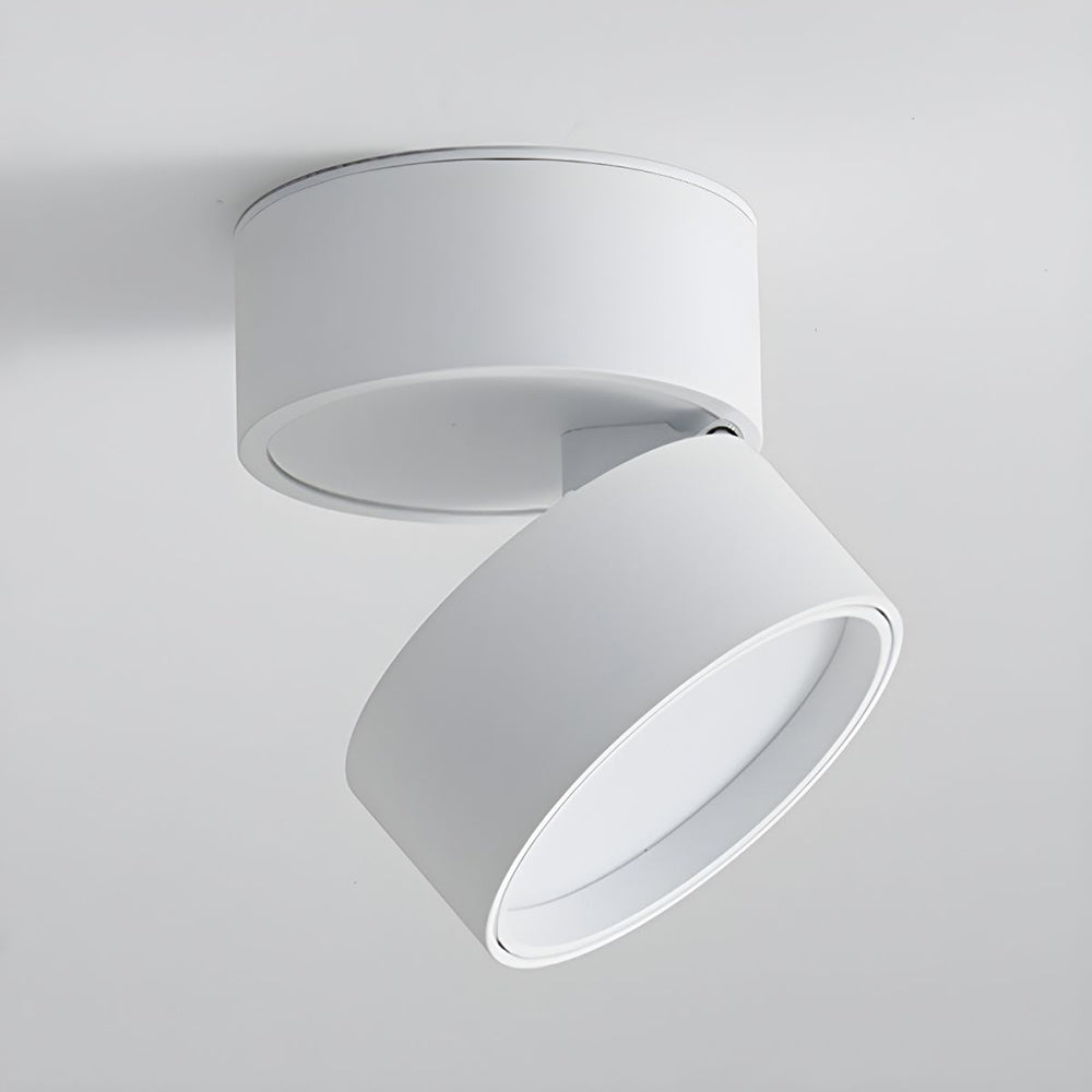 BowLift | LED Ceiling Light with Adjustable Spotlight Head