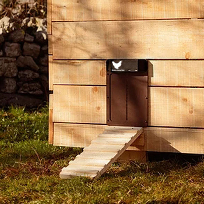 BowLift | Automatic Chicken Pen Hen Coop Poultry Door Opener