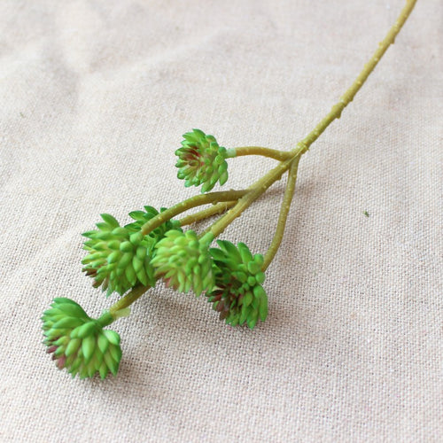 Lifelike Succulent Stem