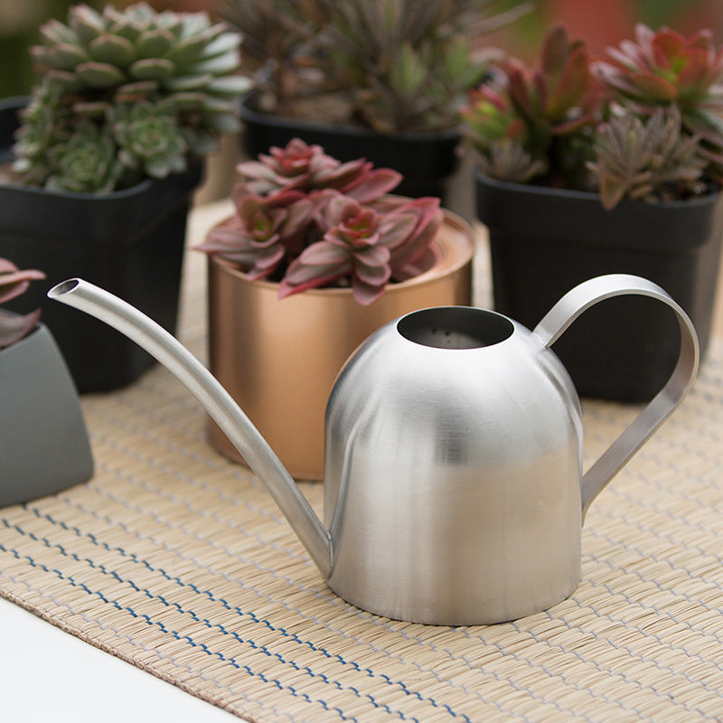 Premium Stainless Steel Watering Can