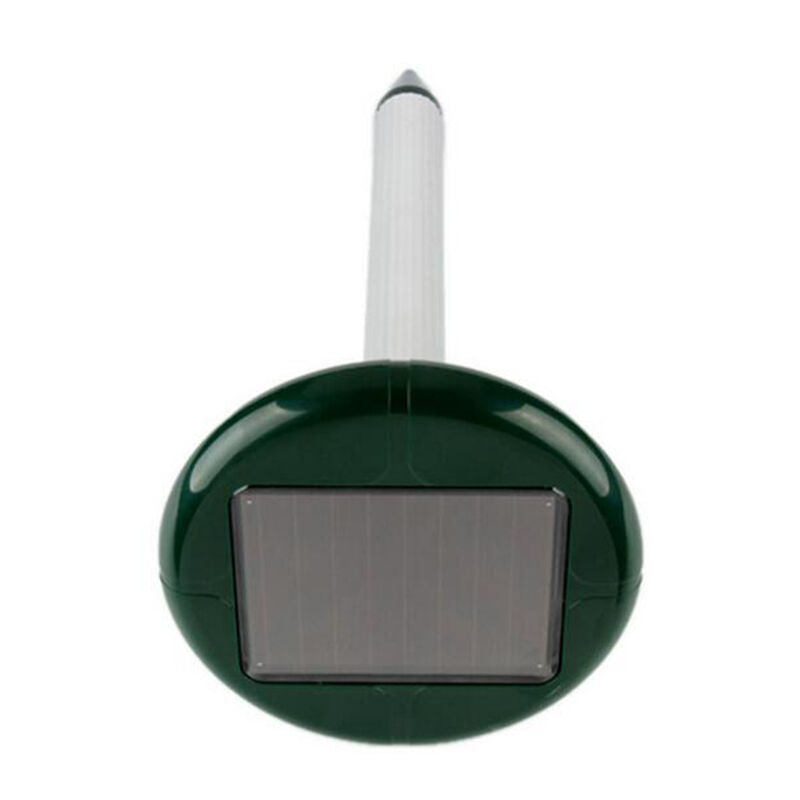 Solar-Powered LED In-Ground Light