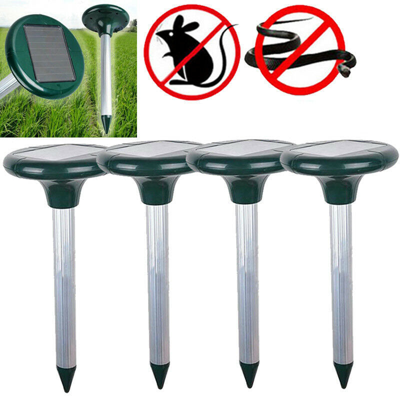 Solar-Powered LED In-Ground Light