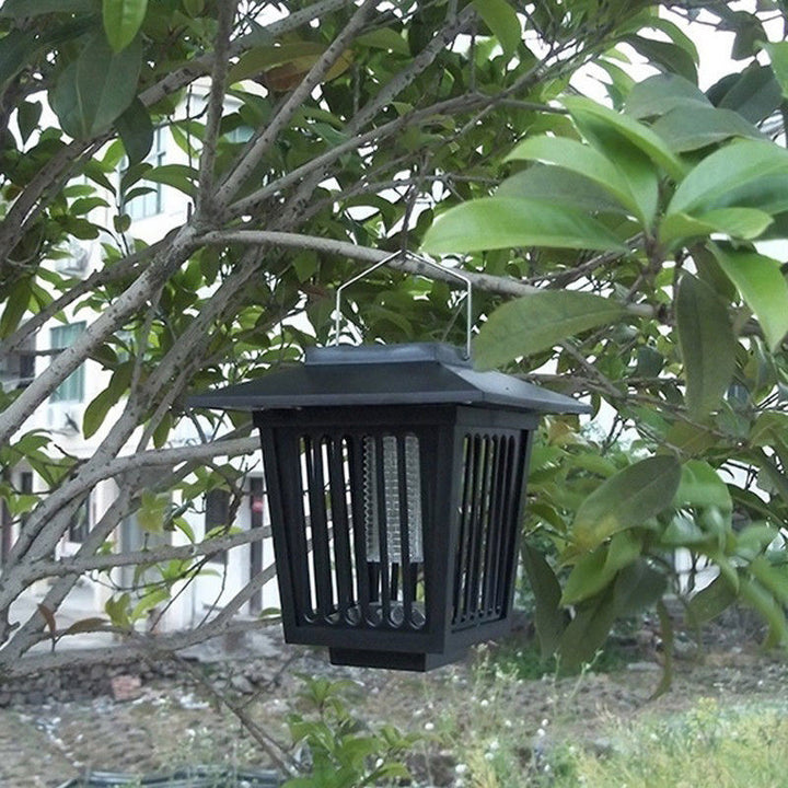 Modern Outdoor Motion Sensor Wall Light