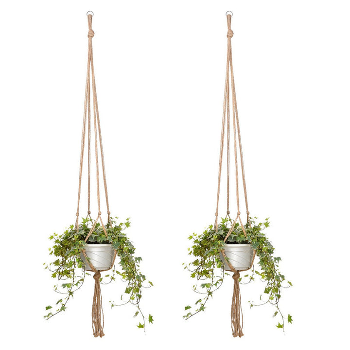 Hanging Plant Holder Bowlift