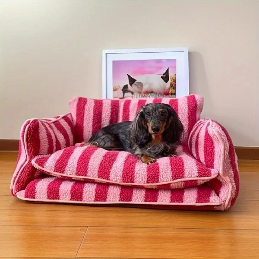 CozyCouch  • Calming Dog Sofa