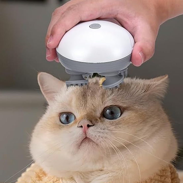 Mini Head Massager, available for pets and people | Bowlift