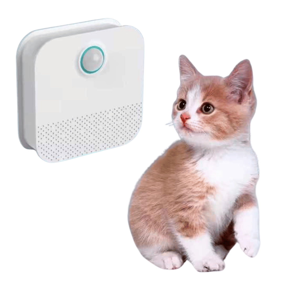 BowLift | Smart Litter Air Purifier – USB Rechargeable & Quiet