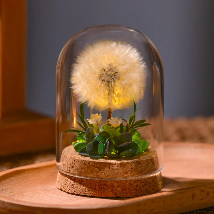 BowLift | EternaBloom Night Light