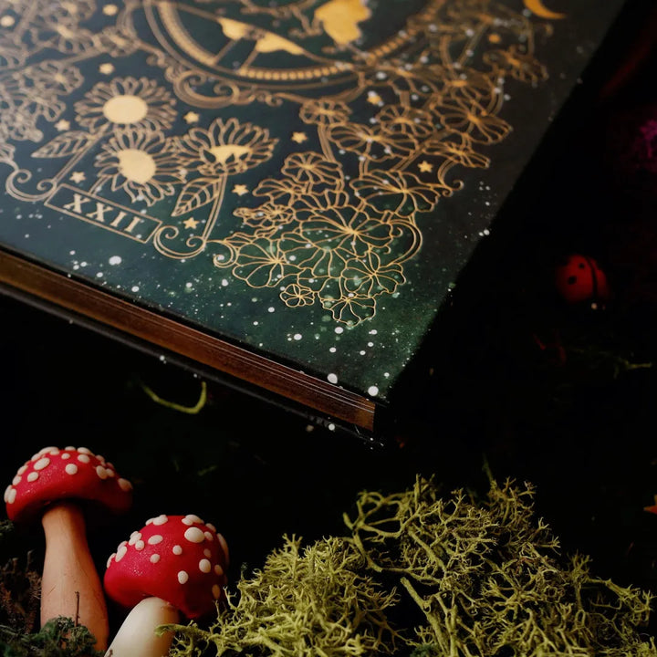 BowLift | Wonderland Journal