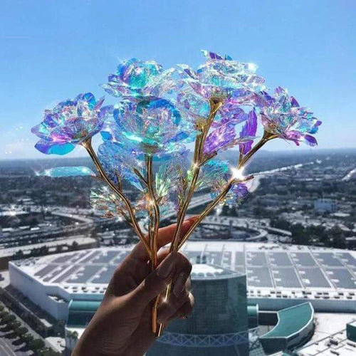 10 pieces Galaxy roses Bowlift