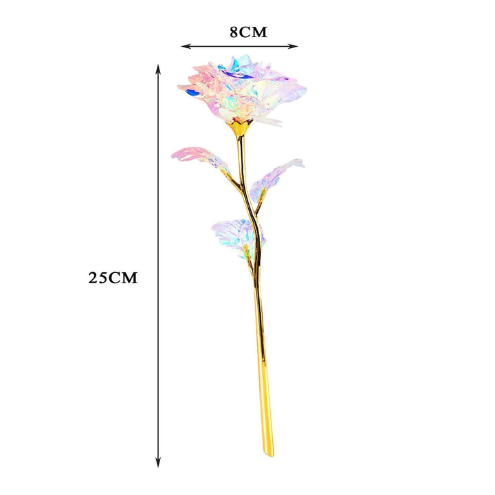 10 pieces Galaxy roses Bowlift