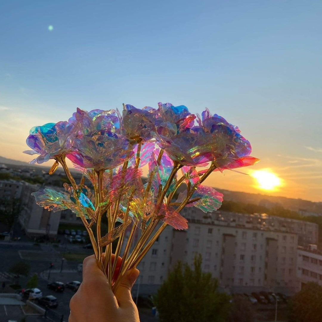 10 pieces Galaxy roses Bowlift