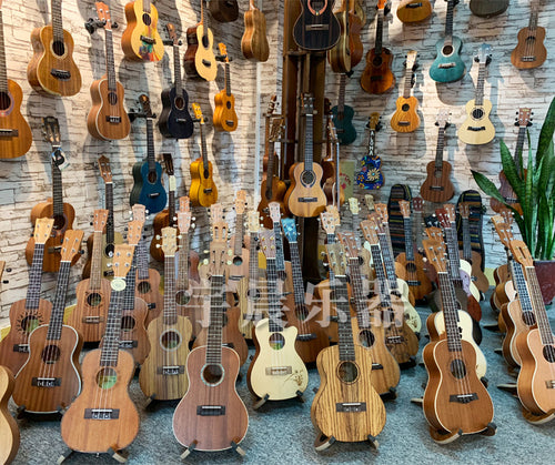 Ukulele Bowlift