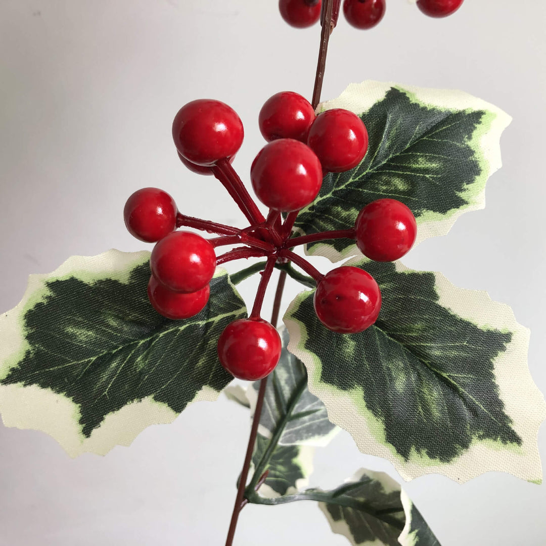 BowLift | Christmas Red Fruit Rattan Party Window Patio Party Thanksgiving Decoration String Lights