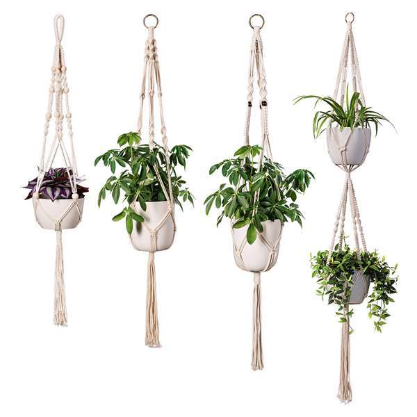 Macrame Plant Hanger Bowlift