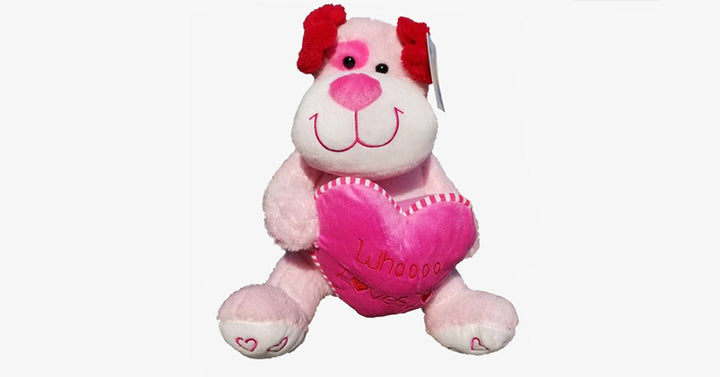 BowLift | Original Teddy Bear