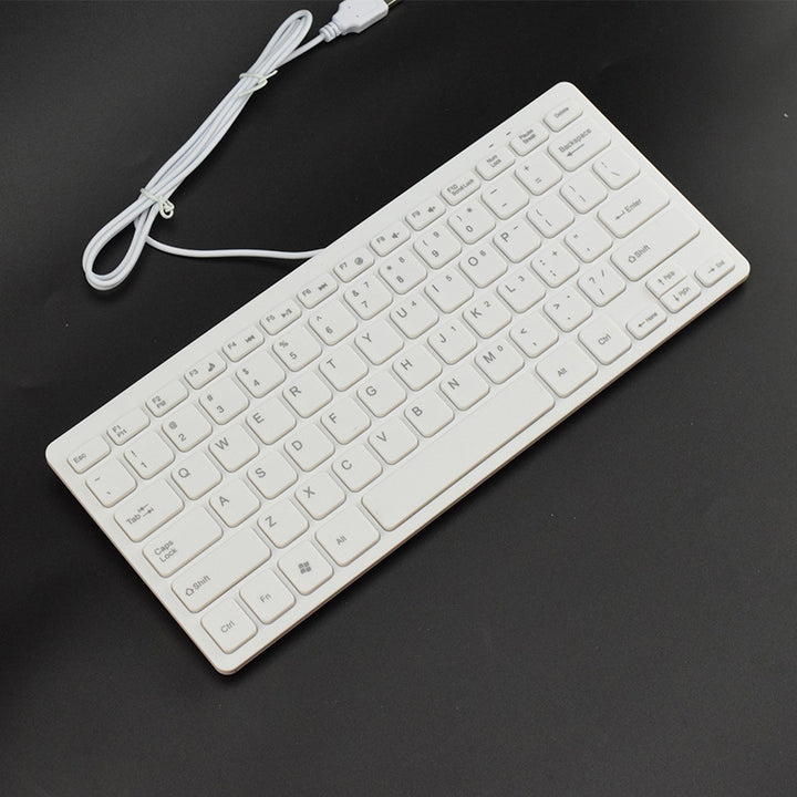 Flat USB keyboard with quiet keystrokes Bowlift