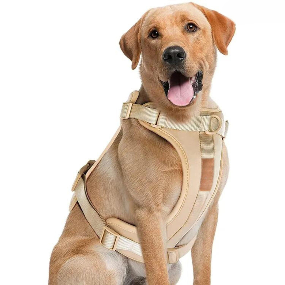 BowLift | ComfyPaws Dog Harness Walking Set with Leash and Poop Bag Holder