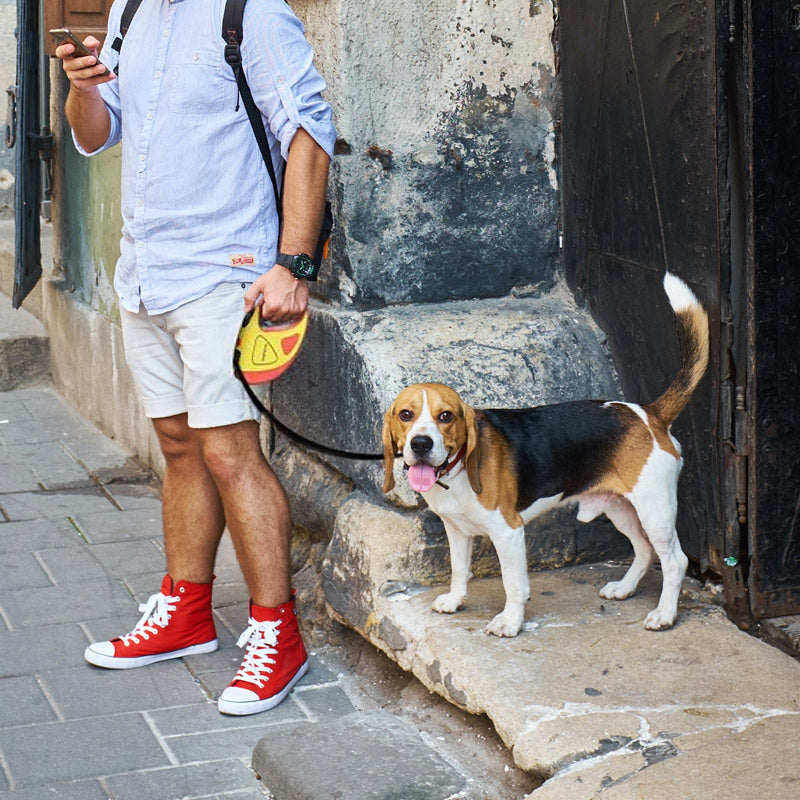 LED Leash for Pets retractable | Bowlift