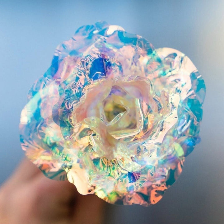 BowLift | Shiny Sleeping Rose Valentine's Day