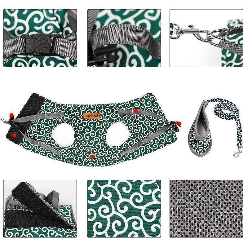 BowLift | Cat vest harness and leash set for walks