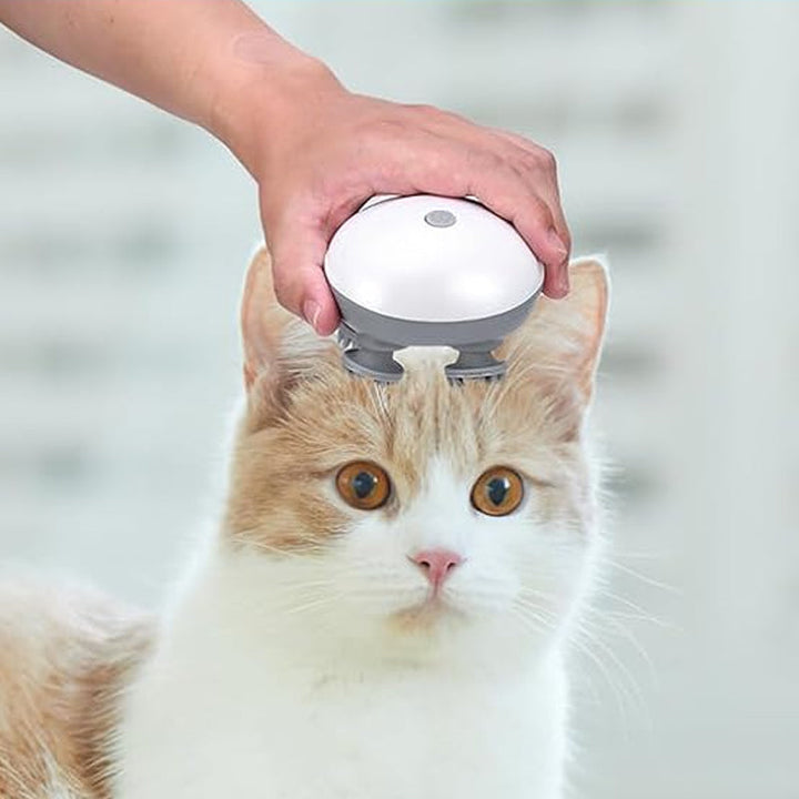 Mini Head Massager, available for pets and people | Bowlift