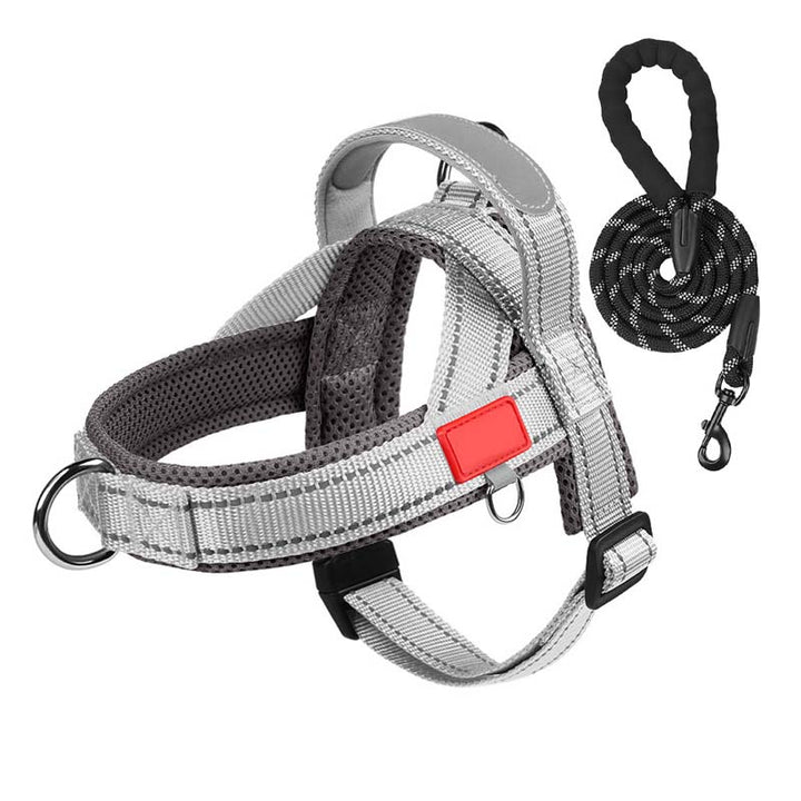 PawEase Comfort Harness — Relaxed Dressing and Unlimited Freedom for Your Dog | Bowlift