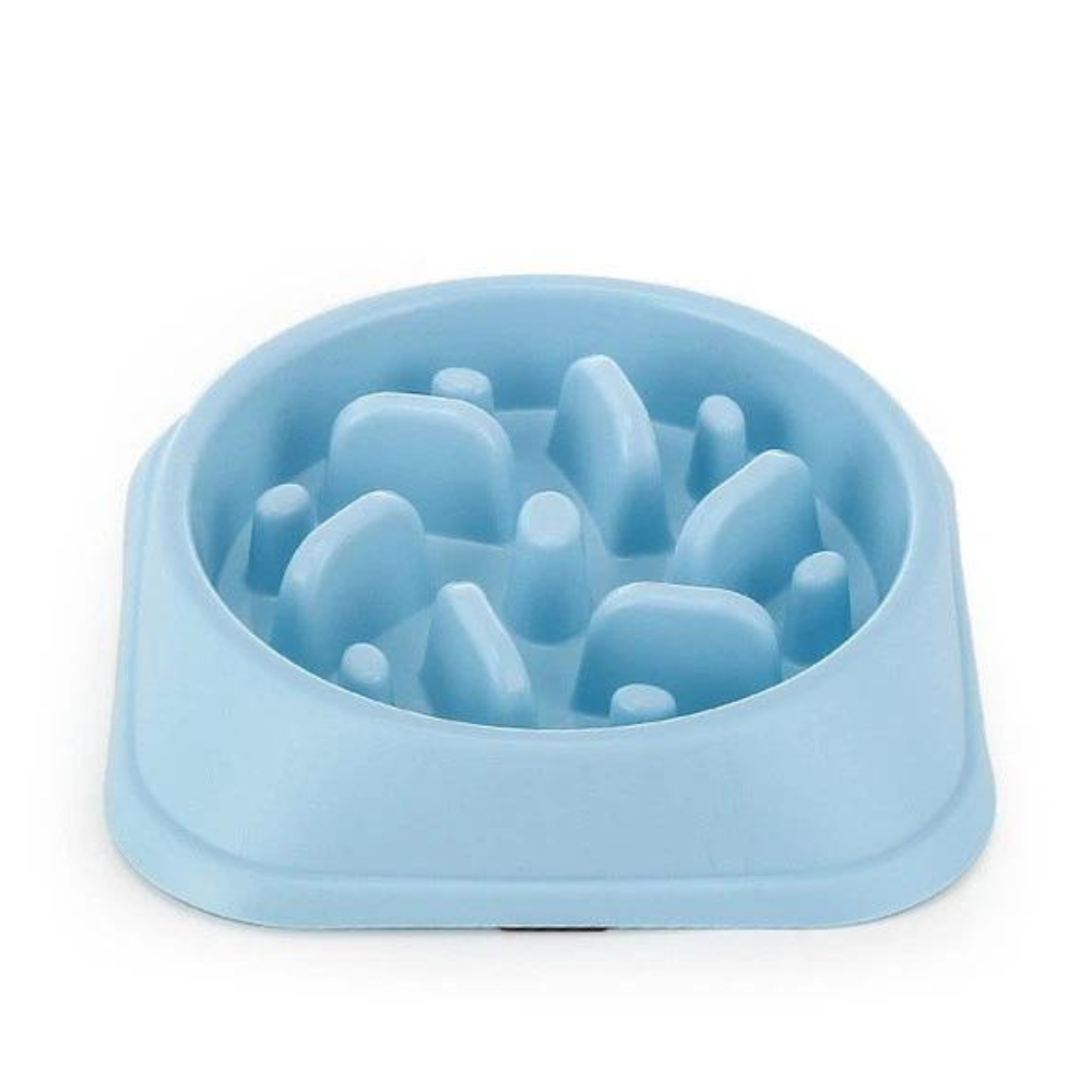 PetPace • Dog Feeding Bowl Slow