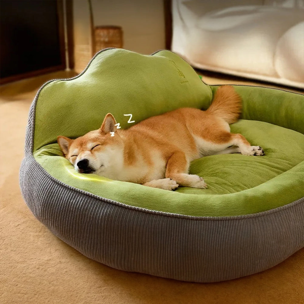 BowLift | Ideal place for a cat to relax