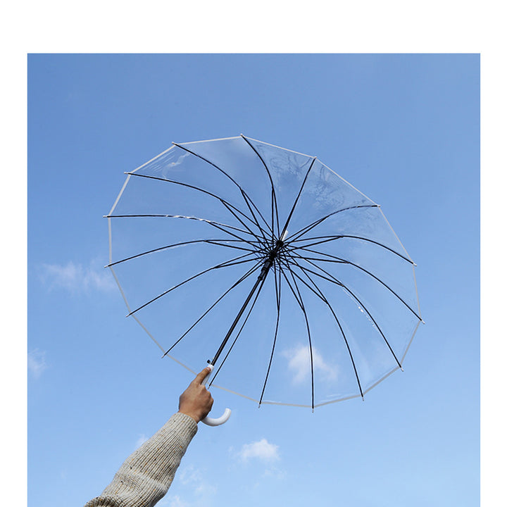 Ladies transparent wind and rain umbrella Bowlift