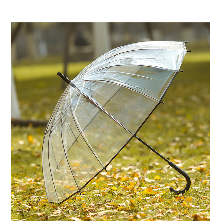 Ladies Transparent Umbrella with Elegant Design Bowlift