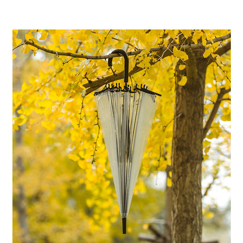 Ladies transparent wind and rain umbrella Bowlift