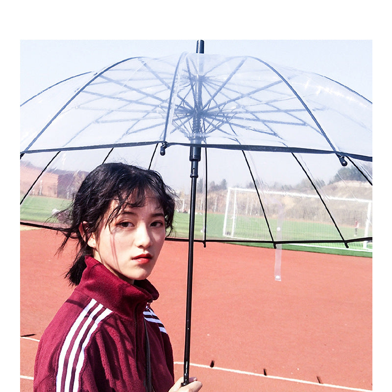 Ladies transparent wind and rain umbrella Bowlift
