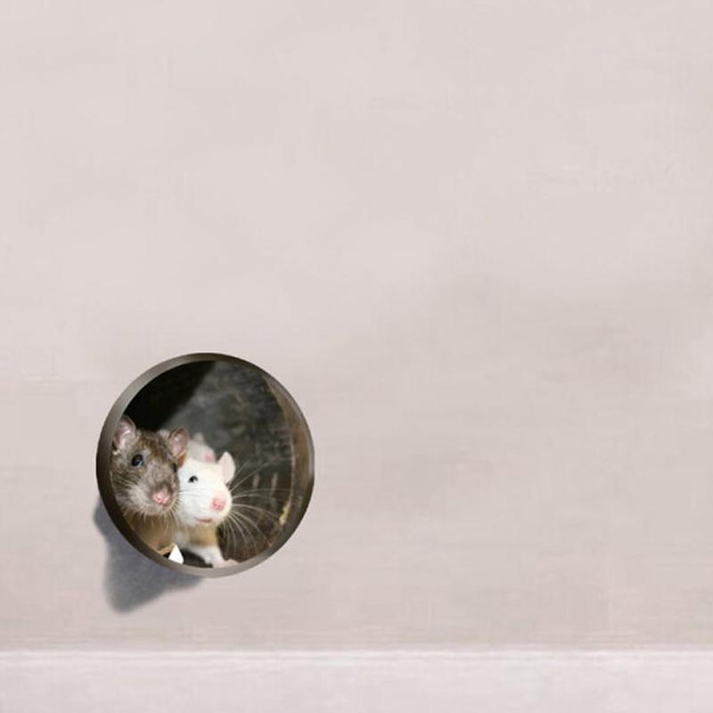 BowLift | Realistic 3D Mouse Hole Wall Sticker