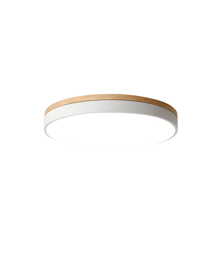 BowLift | Modern Ceiling Lamp with Nature-Inspired Shape