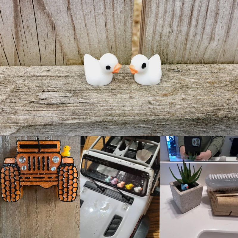 🦆Tiny Ducks | Challenge Hiding Ducks | Bowlift