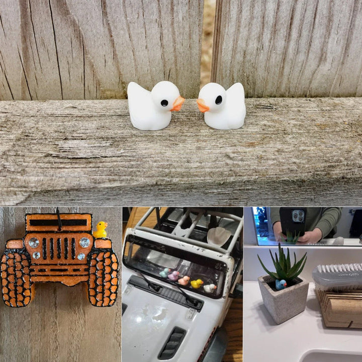 🦆Tiny Ducks | Challenge Hiding Ducks | Bowlift