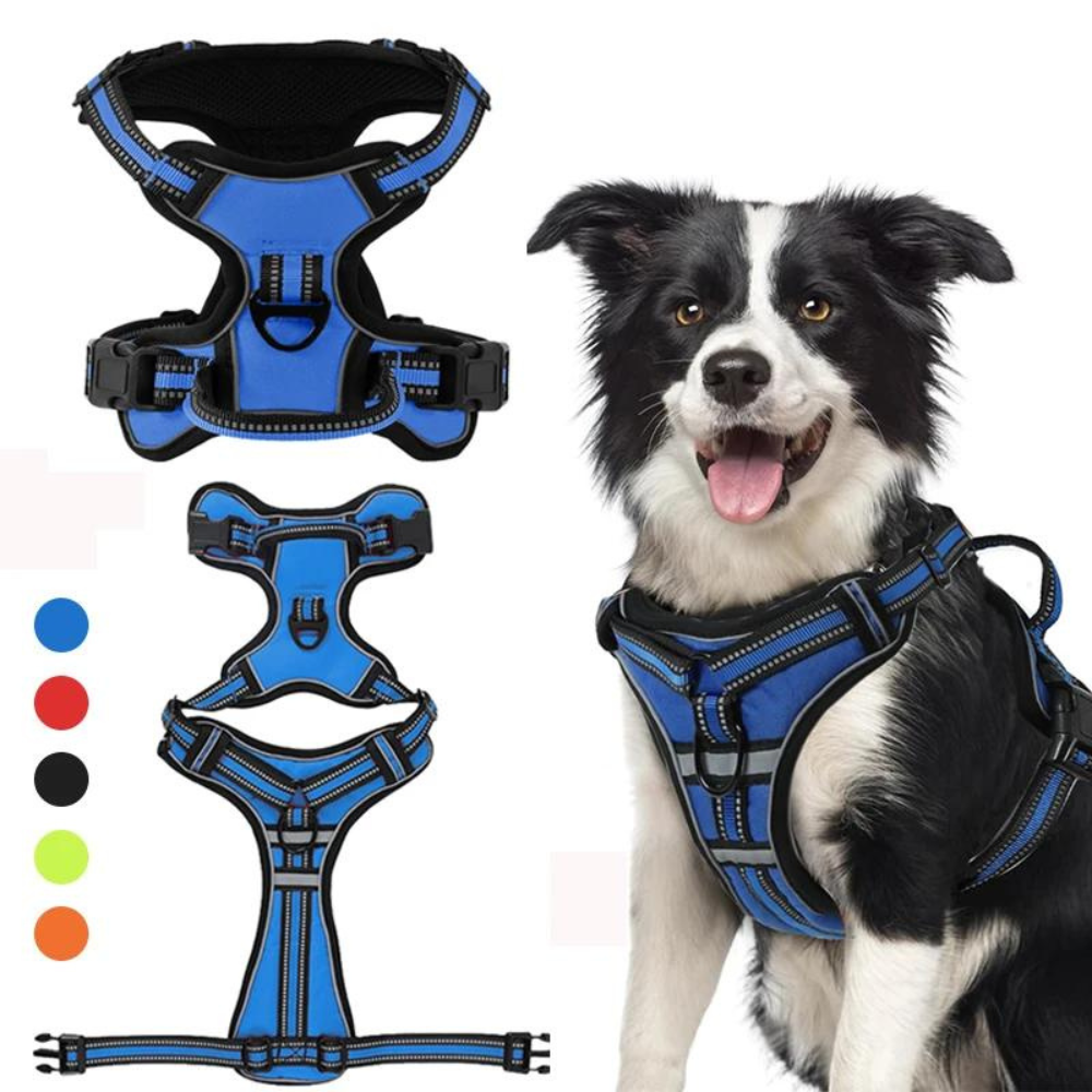 FlexHarness  •  No Pull Dog Harness