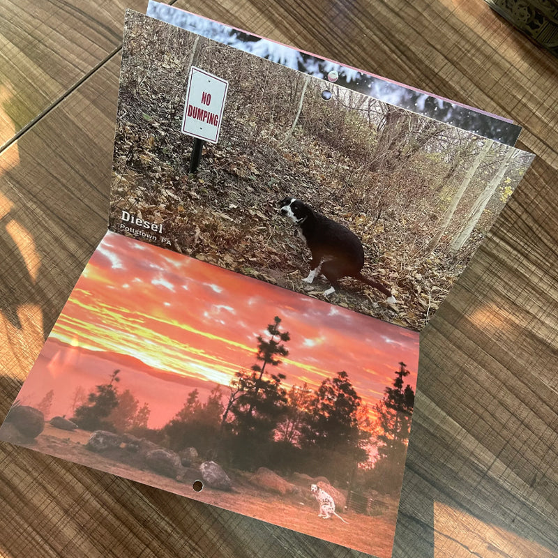 BowLift | Pooping Pooches Dog Calendar