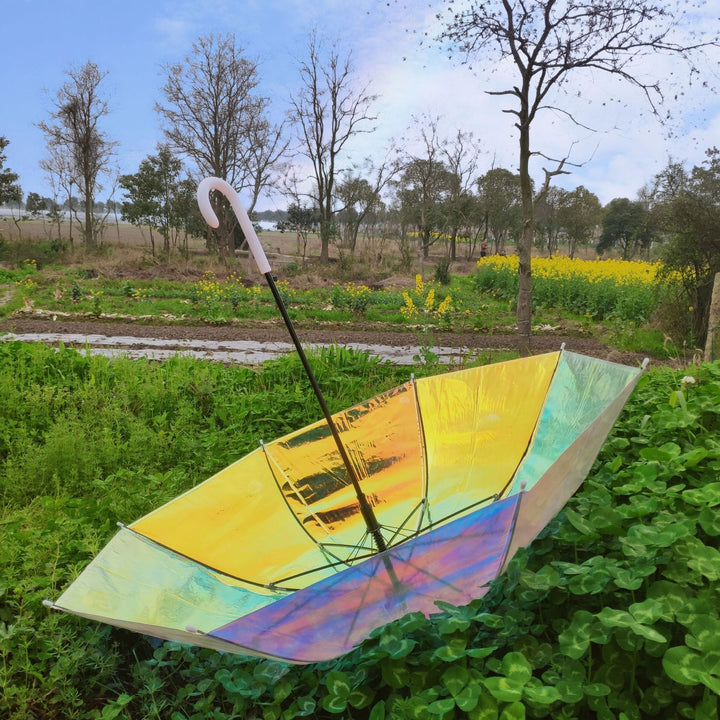 Ladies Rainbow Colored Umbrella Bowlift