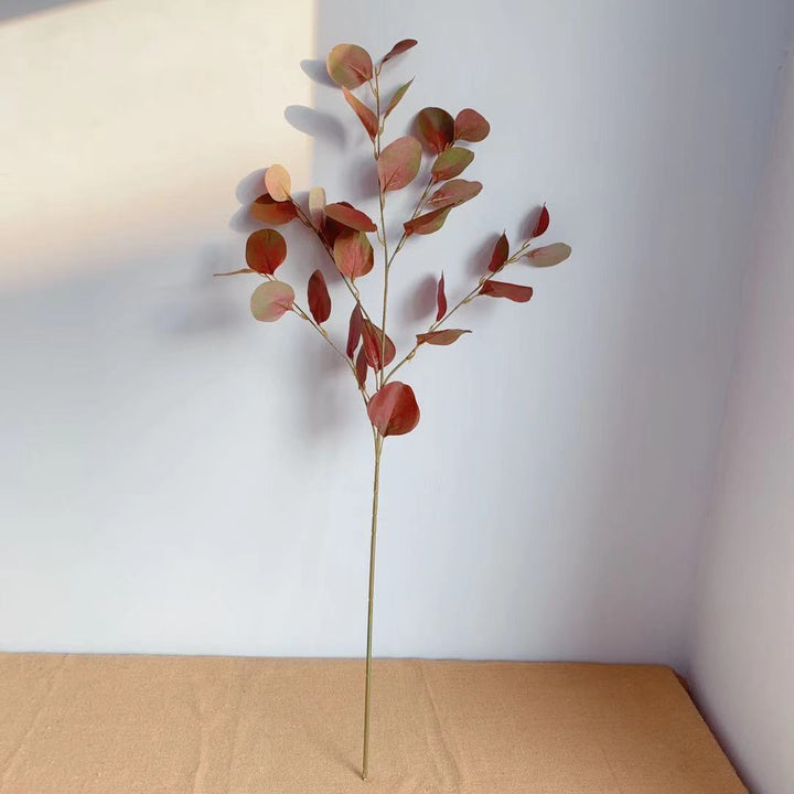 Decorative Eucalyptus Stem