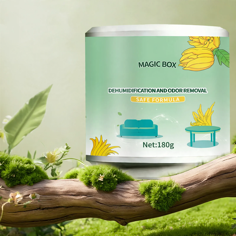 Multifunctional Dehumidification Box for the Household