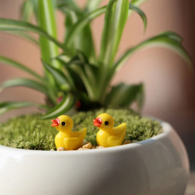🦆Tiny Ducks | Challenge Hiding Ducks | Bowlift