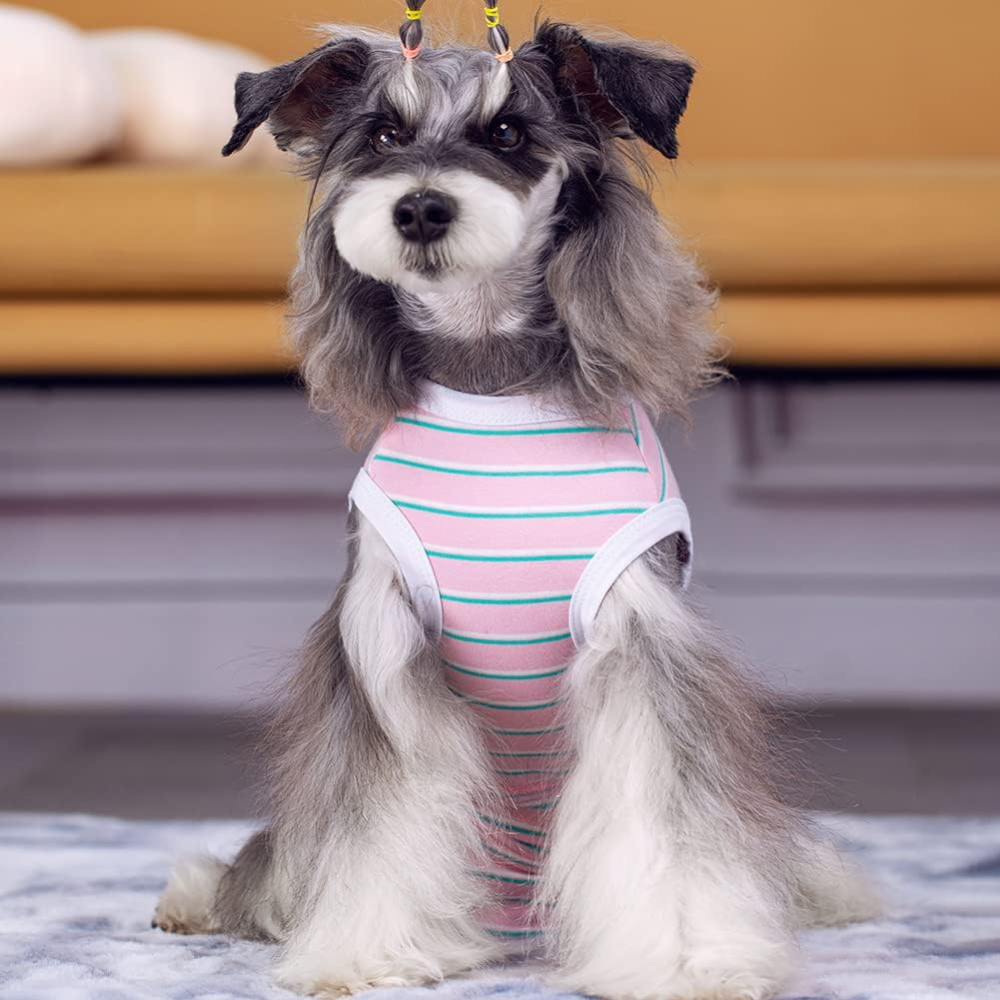 StripeGuard • Dog Recovery Suit for Post-Surgery Care