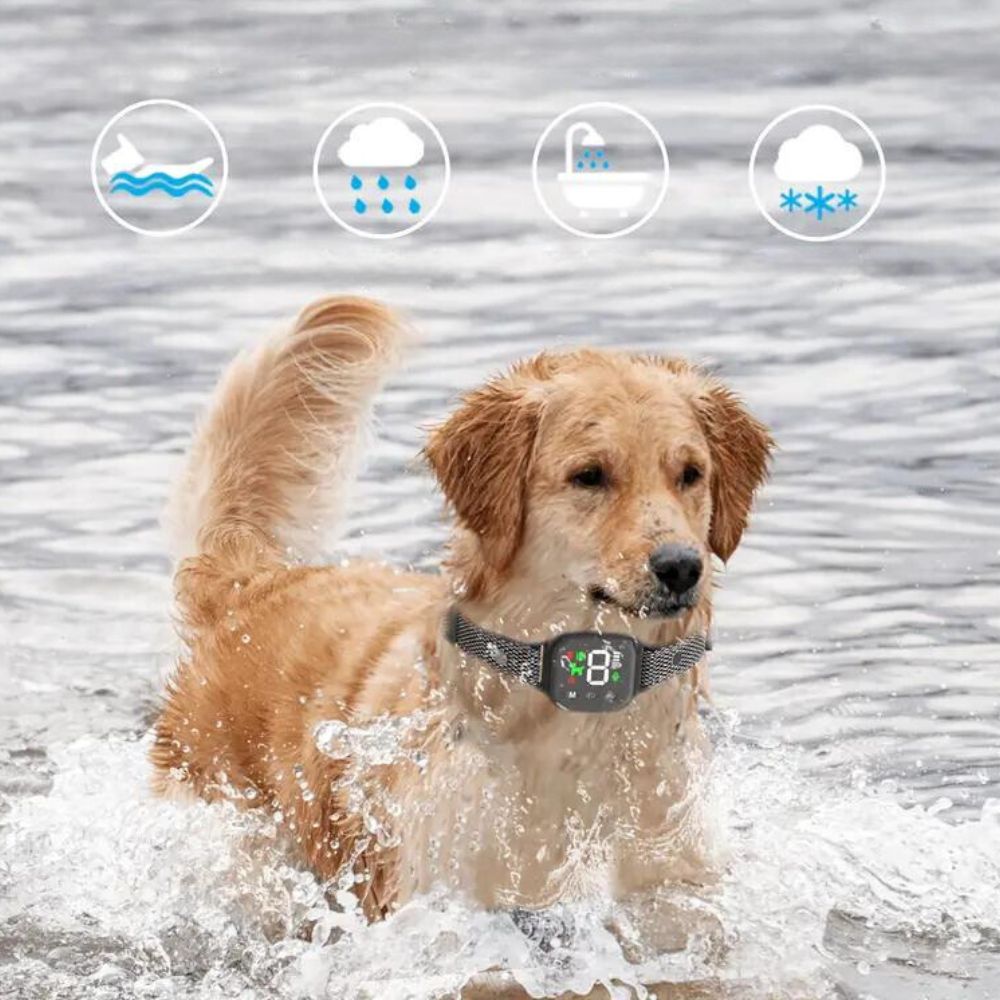 BarkPro • Touch Screen Dog Bark Collar