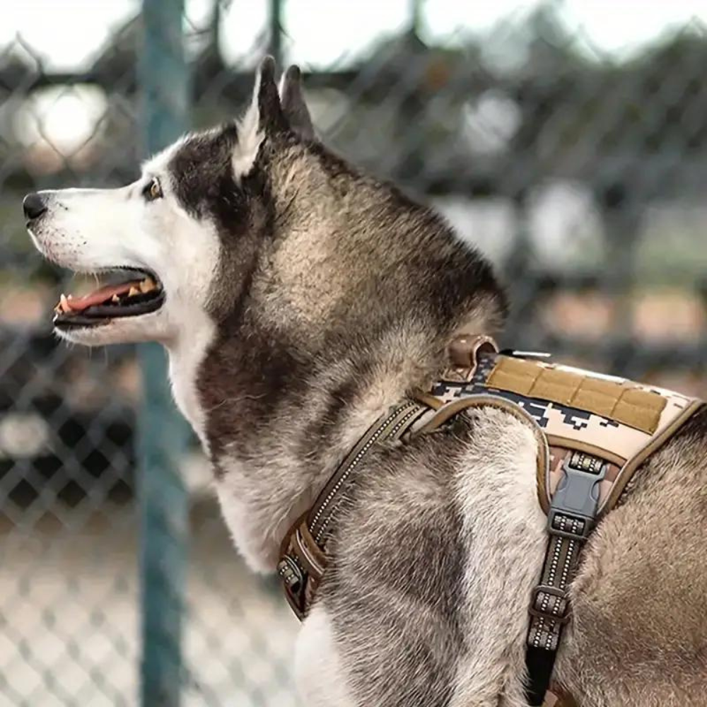 TacticalVest • No Pull Dog Harness