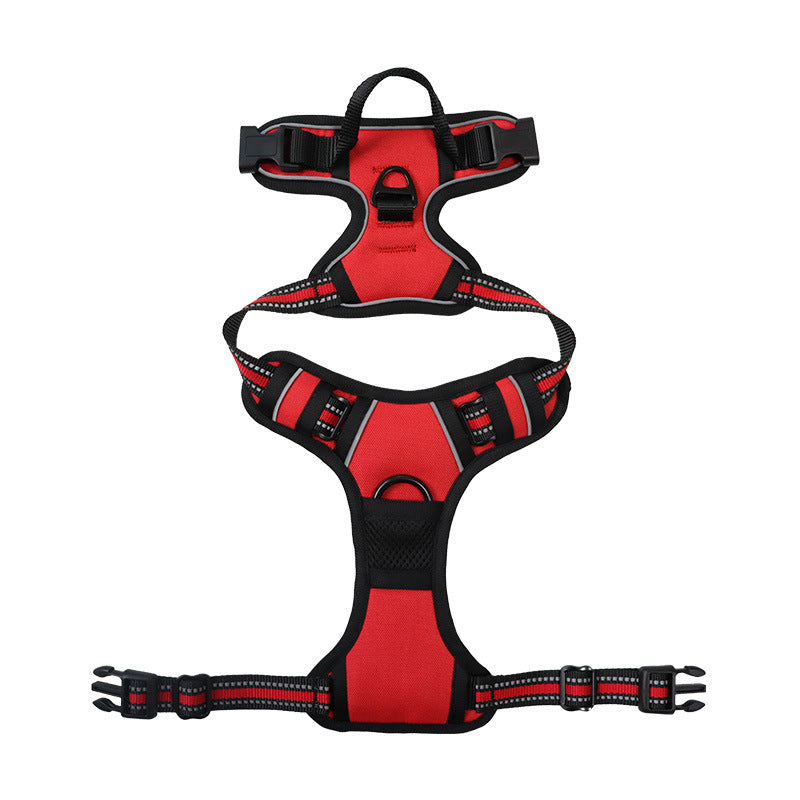 3-in-1 Pet Walking Kit | Bowlift